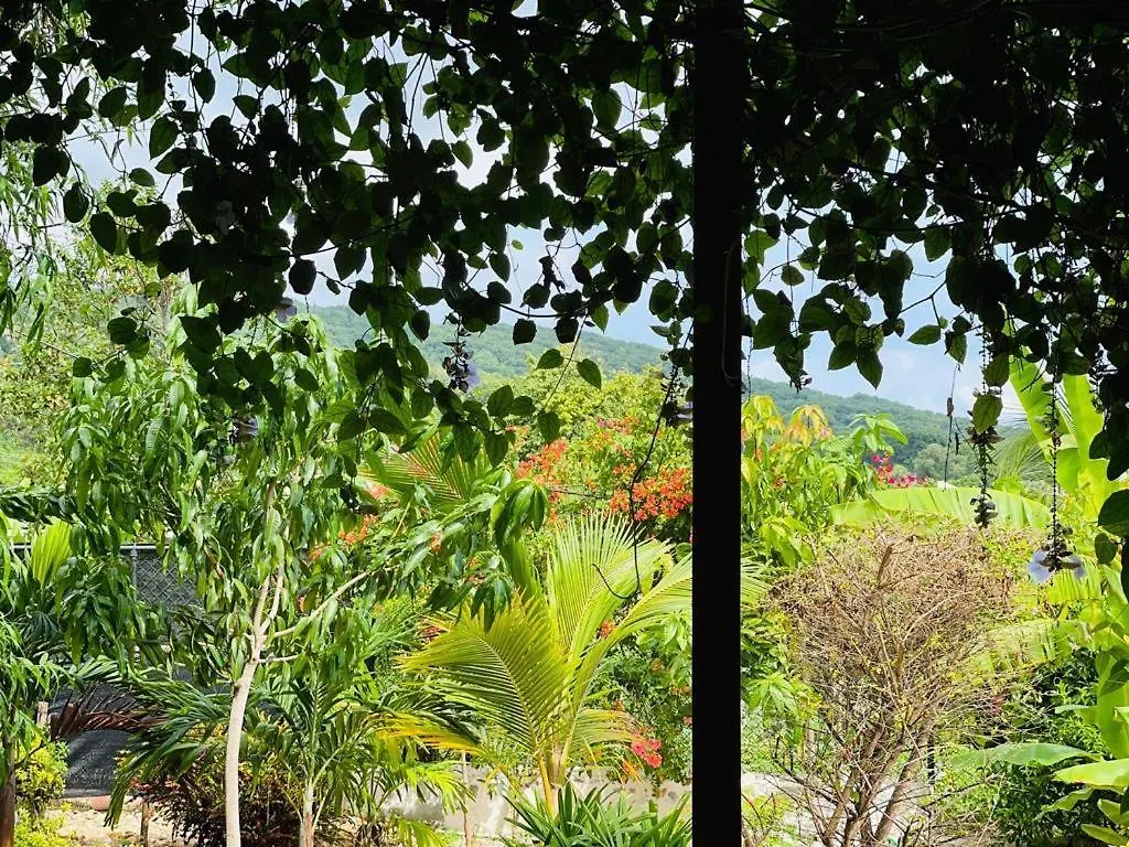 Homestay Ecovilla Coral Garden Baoruco