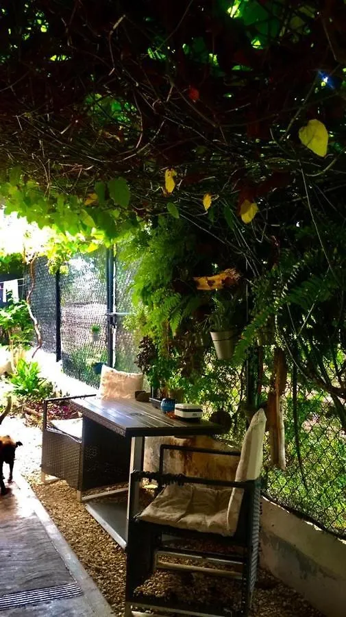 Ecovilla Coral Garden Baoruco Homestay